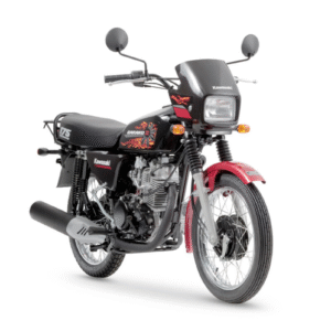 Kawasaki Barako II BC175